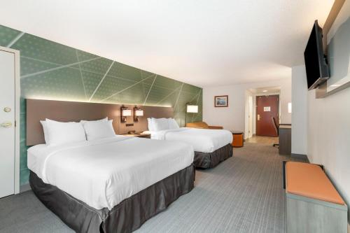 2 queen beds, 1 sofa bed