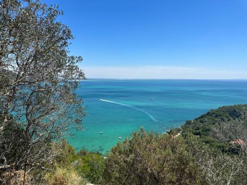 Casa Roma, Sesimbra (fotografie 8)