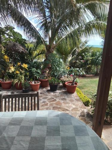 Villa baie diamant in Oyster Bay