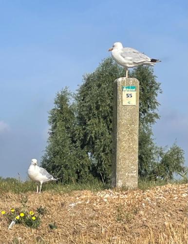 Côté Jardin