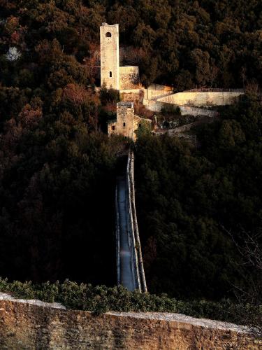 Hotel Clarici - image 11