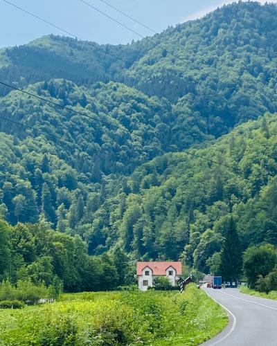 Accommodation in Zakarpattia Oblast