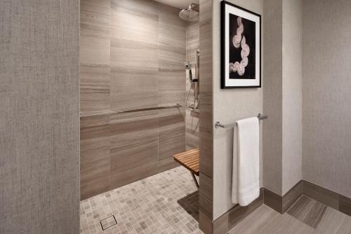 Deluxe King Room with City View and Roll-in Shower - Mobility Accessible