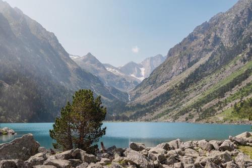 رياضة و نشاطات, Charmant Studio Pyrénéen (Charmant Studio Pyreneen) in Pierrefitte Nestalas