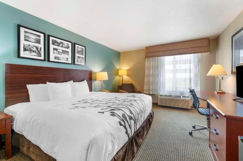 1 king bed
