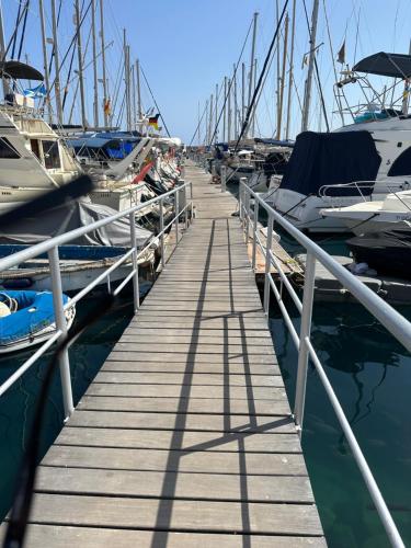 Boat in Puerto de Mogán 5