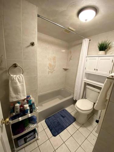 Glorious Suite near Downtown with washer/dryer in Gloucester, USA