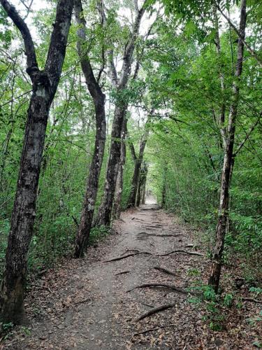 Studio Perle de Zanzibar Trois-Ilets Studio Perle de Zanzibar Trois-Ilets