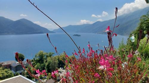  Sollevante Ascona mit Pool und fantastischer Seesicht in Ascona
