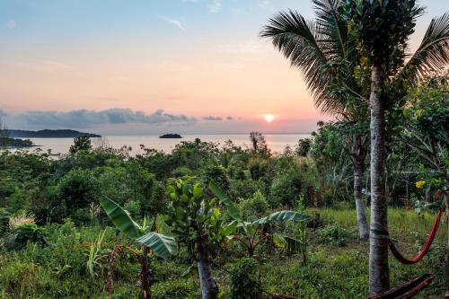 Sweet Jungle Bungalows