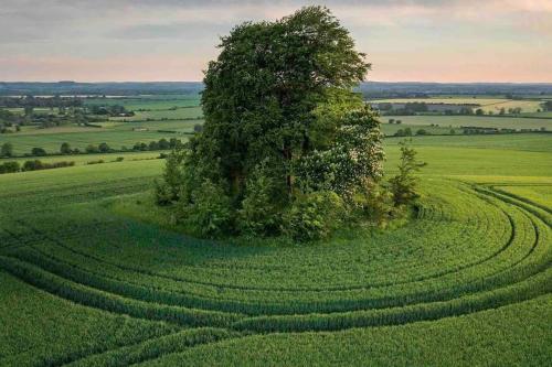 Oxfordshire Country Cottage