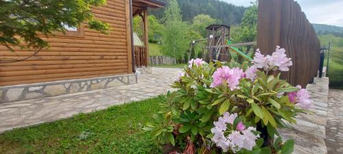 Mini Complex Rilski Terasi - image 5