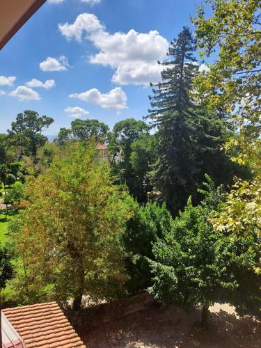 Hotel Villa Robinia in Genzano di Roma