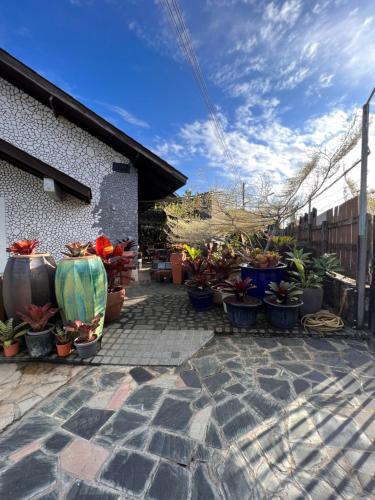 绿色小屋民宿 绿色小屋民宿