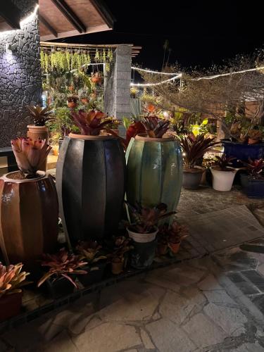 绿色小屋民宿 绿色小屋民宿