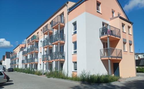 AJP Gold Szczecin Dąbie AJP Gold Szczecin Dąbie