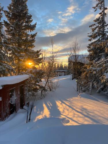 Mysig fjällstuga med direktanslutning till fjället