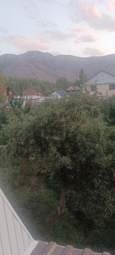 "Kamchybek Ata" guest house B&B in Bökönbayevo