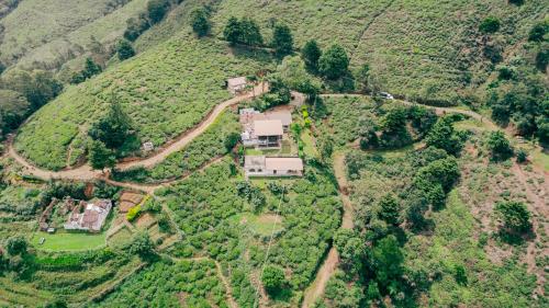 Hill Safari - Tea Estate Villa