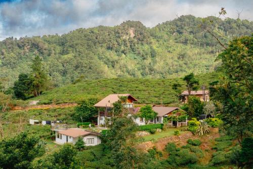 Hill Safari - Tea Estate Villa