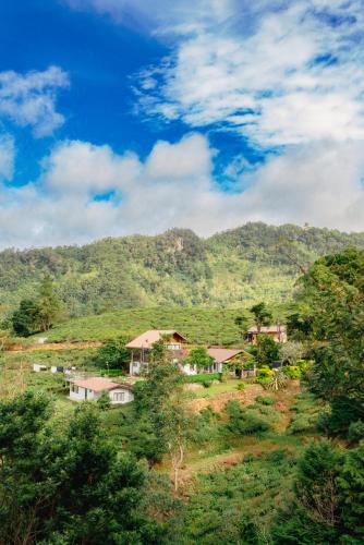 Hill Safari - Tea Estate Villa