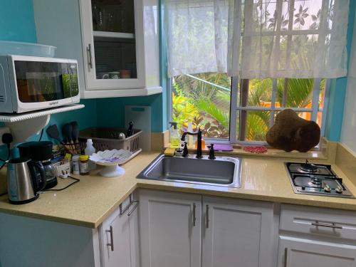 設施, Sunrise Suite in 羅德尼灣
