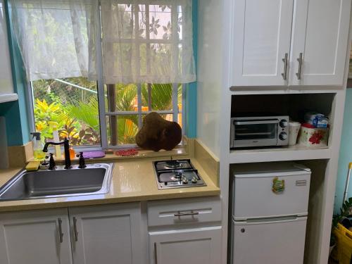 廚房, Sunrise Suite in 羅德尼灣