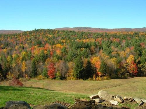 Adams Hill House Retreat - Artist-Architect's Estate, Newfane Vermont