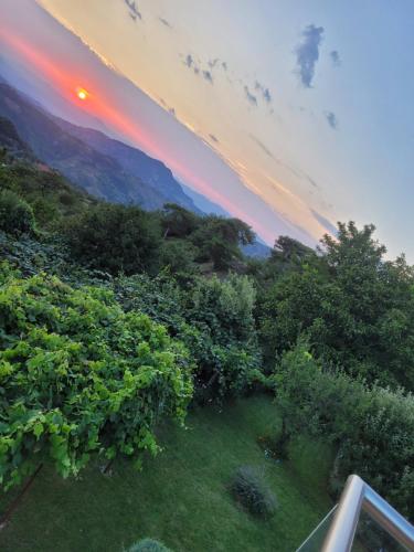 Bujtina Bezhani Gjinar photo 4