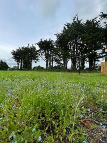 Ballybur Cottage in Cuffesgrange