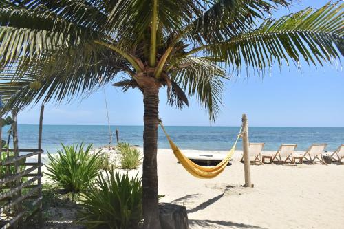 B&B San Onofre - Palenque Beach House - Bed and Breakfast San Onofre