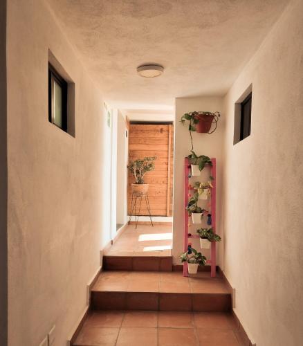 Santa Josefita B&B in Cholula, Mexico