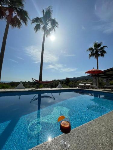 Finca Besito - Accommodation - Alhaurín el Grande