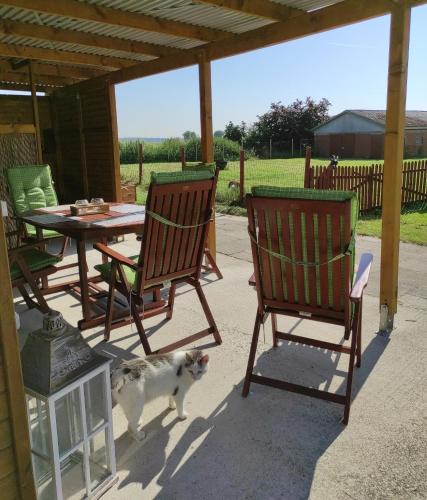 外部景觀, 200 Jahre altes Landhaus mit Tieren in 維爾德斯豪森