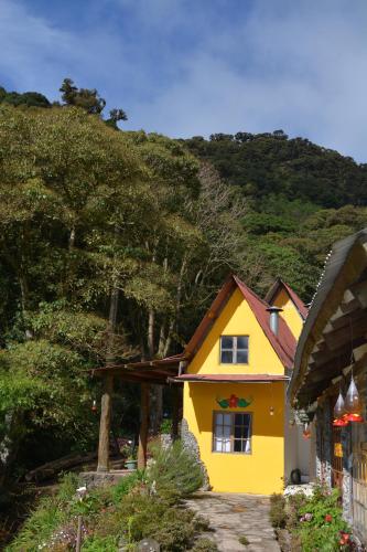 Top Of The Mountain - The Eagles Nest in Cerro Punta