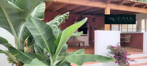 設施, Casa Las Colinas- Preciosa Villa Isleña (Casa Las Colinas- Preciosa Villa Islena) in 拉塔瓦