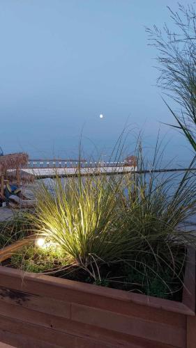Apartments Vista, Balchik (photo 9)