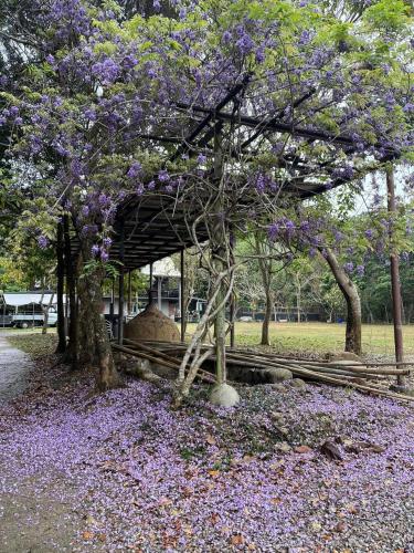 Jiangshan Lohas B&B & Backpacker - 정원