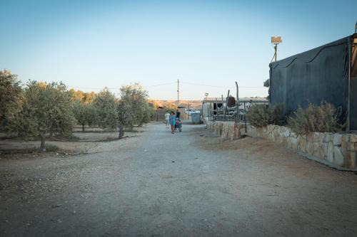 חוות נועם במדבר - noam farm, Mitzpe Ramon (foto 2)