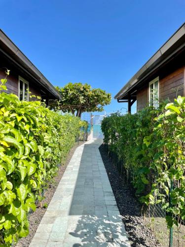 Blackstone Paea Premium beachfront bungalow private access wifi - 3 pers