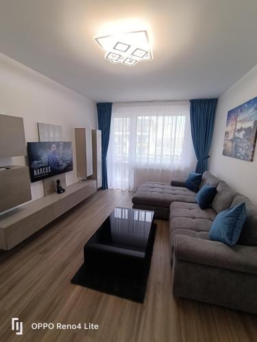 One-Bedroom Apartment image 9