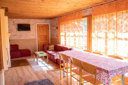 Koplietošanas atpūtas telpa ar TV, Maarjamae Holiday House in Rapina