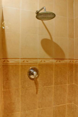 アルヤイン レンボンガン