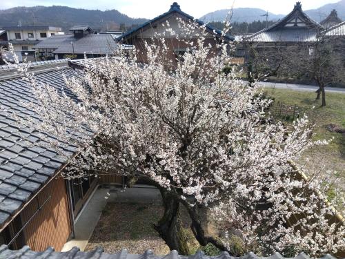 ゲストハウス メグルヤ 中山道柏原宿