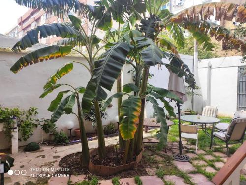 Cozy apartamento en Ruzafa para 2-3 personas con aire acondicionado y salida directa a terraza, Valencie (fotografie 10)