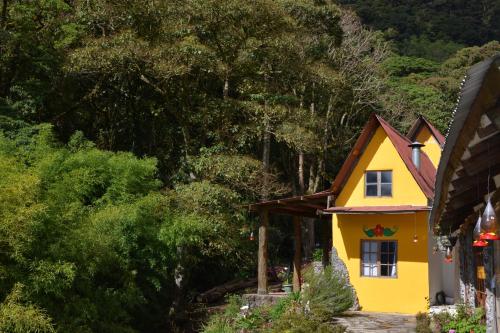 Top Of The Mountain - The Eagles Nest in Cerro Punta