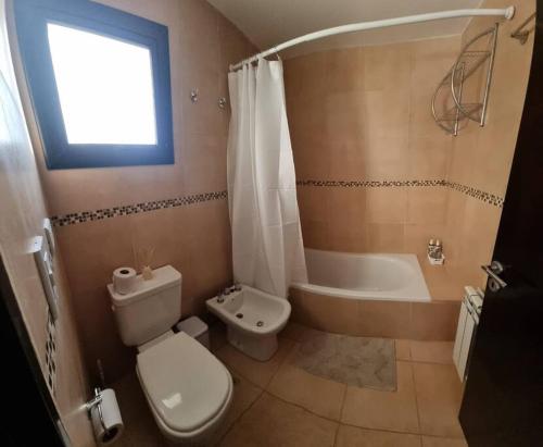 One-Bedroom Apartment image 10