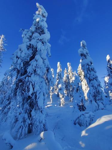 Saunaharju 5 järven rannalla