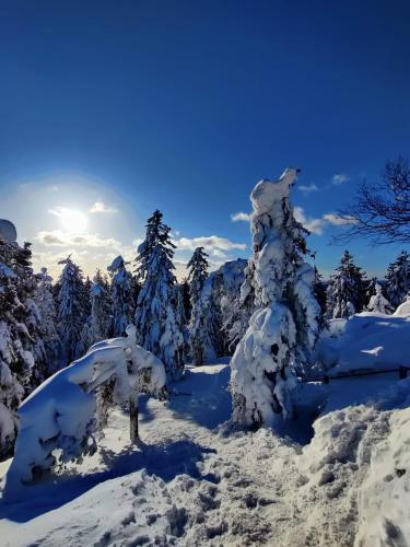 Saunaharju 5 järven rannalla