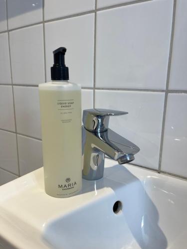 Peppinge Bed & Breakfast - Rapsbollen - image 5